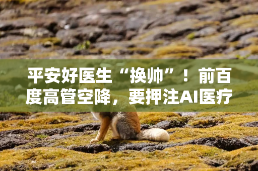 平安好医生“换帅”！前百度高管空降，要押注AI医疗？