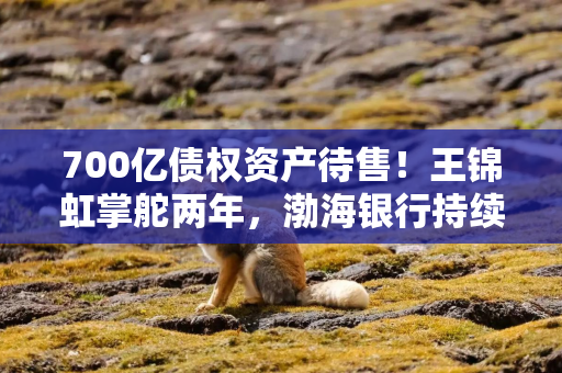 700亿债权资产待售！王锦虹掌舵两年，渤海银行持续甩包袱