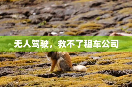 无人驾驶，救不了租车公司