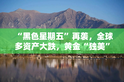 “黑色星期五”再袭，全球多资产大跌，黄金“独美”，有投资者牛市急跌中加仓