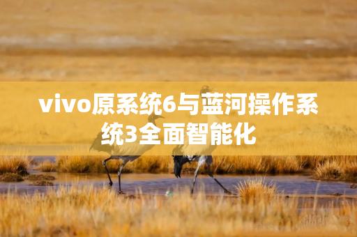 vivo原系统6与蓝河操作系统3全面智能化