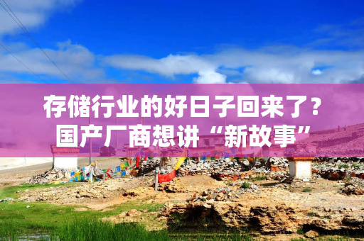 存储行业的好日子回来了？国产厂商想讲“新故事”