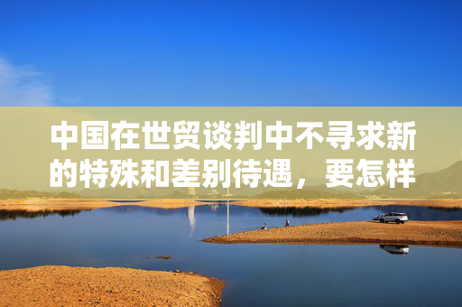 中国在世贸谈判中不寻求新的特殊和差别待遇，要怎样落实？商务部回应