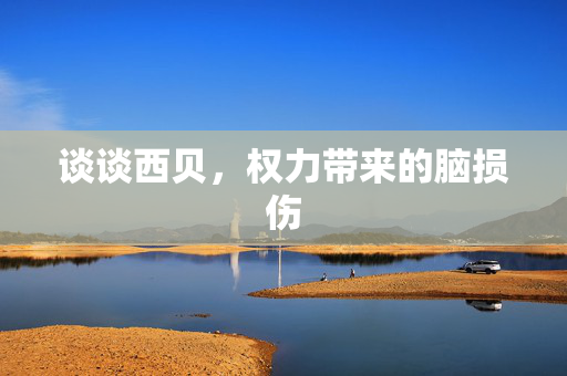 谈谈西贝，权力带来的脑损伤