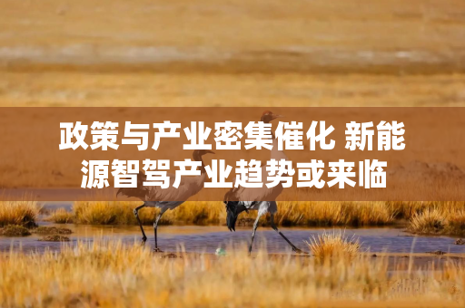 政策与产业密集催化 新能源智驾产业趋势或来临