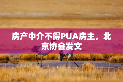 房产中介不得PUA房主，北京协会发文