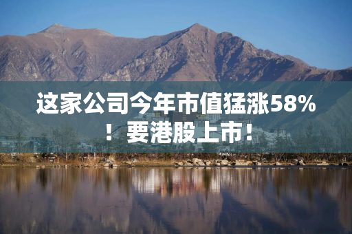 这家公司今年市值猛涨58%！要港股上市！