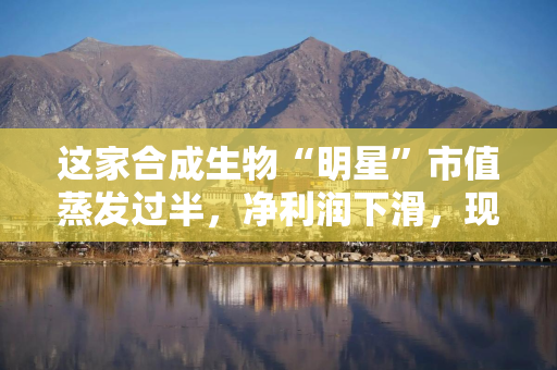这家合成生物“明星”市值蒸发过半，净利润下滑，现要去港股！