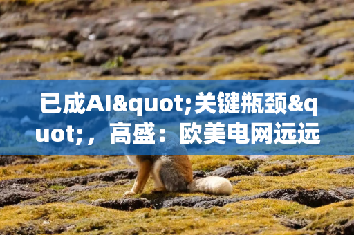 已成AI"关键瓶颈"，高盛：欧美电网远远落后于中国，铜将变成新的石油