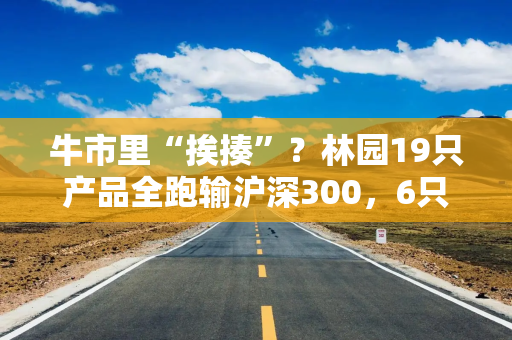 牛市里“挨揍”？林园19只产品全跑输沪深300，6只还亏了