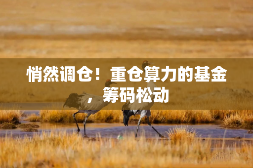 悄然调仓！重仓算力的基金，筹码松动