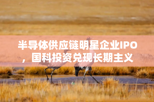 半导体供应链明星企业IPO，国科投资兑现长期主义