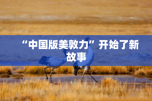 “中国版美敦力”开始了新故事
