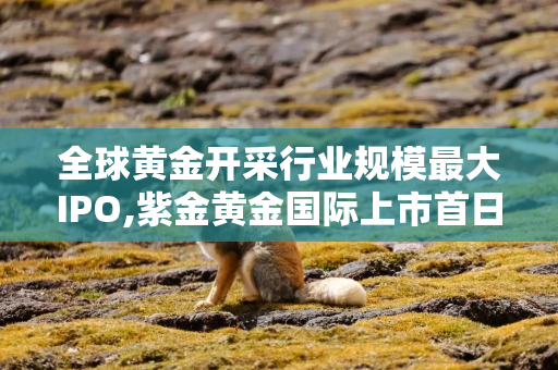 全球黄金开采行业规模最大IPO,紫金黄金国际上市首日暴涨超60%！