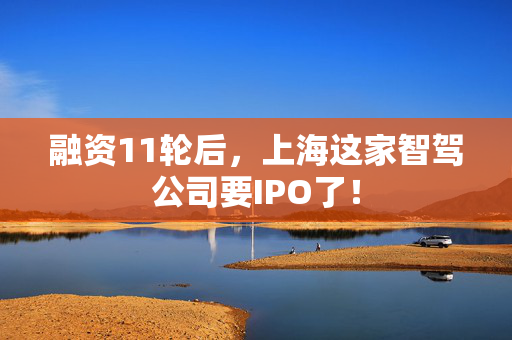 融资11轮后，上海这家智驾公司要IPO了！