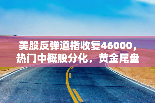美股反弹道指收复46000，热门中概股分化，黄金尾盘跳水