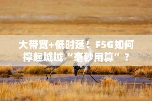 大带宽+低时延！F5G如何撑起城域“毫秒用算”？