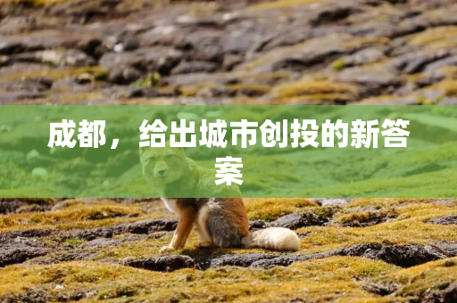 成都,给出城市创投的新答案 成都,给出城市创投的新答案