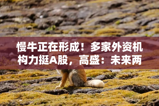 慢牛正在形成!多家外资机构力挺A股,高盛:未来两年有望涨30% 慢牛正在形成!多家外资机构力挺A股,高盛:未来两年有望涨30%