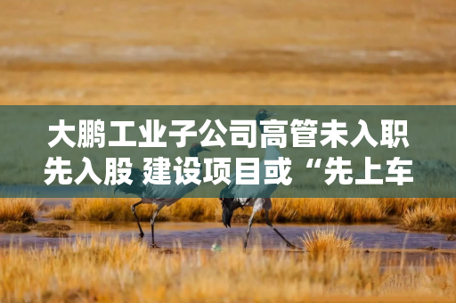大鹏工业子公司高管未入职先入股 建设项目或“先上车后补票” 大鹏工业子公司高管未入职先入股 建设项目或“先上车后补票”