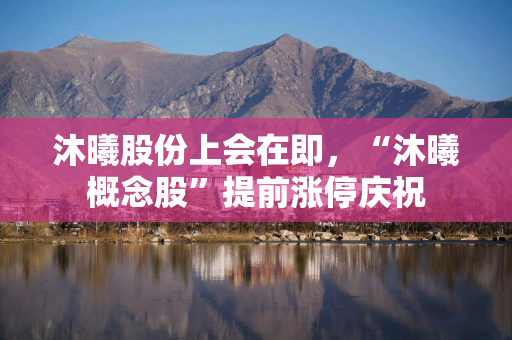 沐曦股份上会在即，“沐曦概念股”提前涨停庆祝