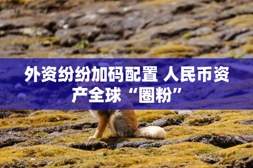 外资纷纷加码配置 人民币资产全球“圈粉” 外资纷纷加码配置 人民币资产全球“圈粉”
