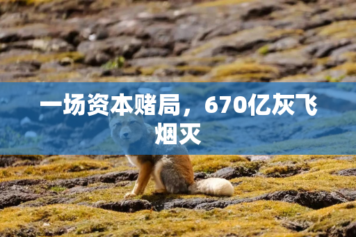一场资本赌局,670亿灰飞烟灭 一场资本赌局,670亿灰飞烟灭