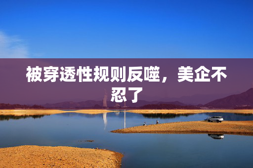 被穿透性规则反噬,美企不忍了 被穿透性规则反噬,美企不忍了