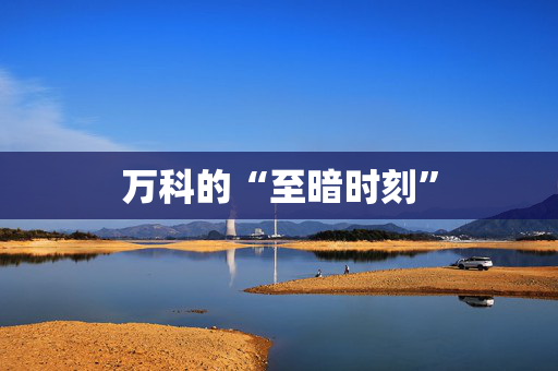 万科的“至暗时刻” 万科的“至暗时刻”