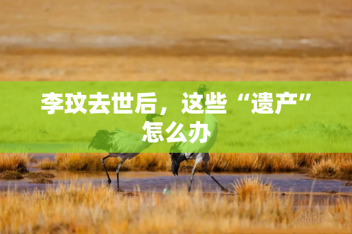 李玟去世后，这些“遗产”怎么办