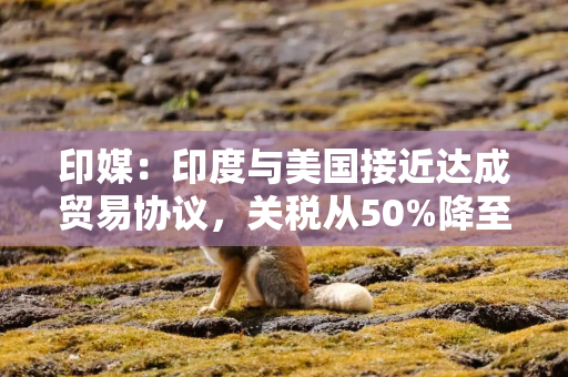 印媒:印度与美国接近达成贸易协议,关税从50%降至15% 印媒:印度与美国接近达成贸易协议,关税从50%降至15%