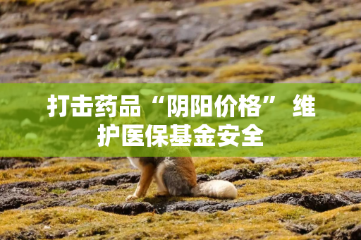 打击药品“阴阳价格” 维护医保基金安全 打击药品“阴阳价格” 维护医保基金安全