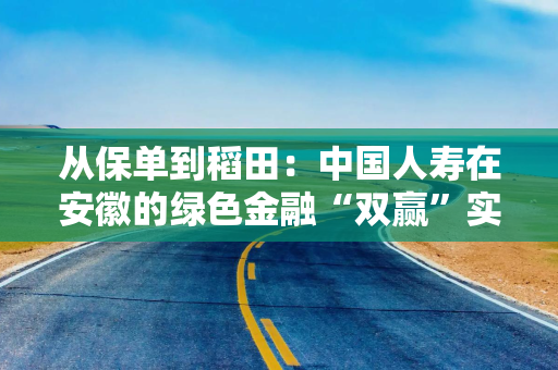 从保单到稻田:中国人寿在安徽的绿色金融“双赢”实践 从保单到稻田:中国人寿在安徽的绿色金融“双赢”实践
