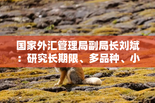 国家外汇管理局副局长刘斌:研究长期限、多品种、小币种等外汇市场发展问题|2025外滩年会 国家外汇管理局副局长刘斌:研究长期限、多品种、小币种等外汇市场发展问题|2025外滩年会