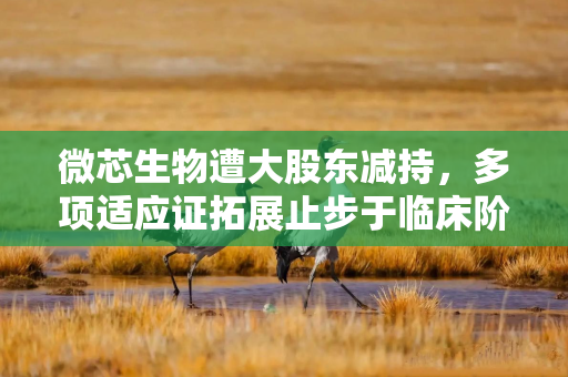 微芯生物遭大股东减持,多项适应证拓展止步于临床阶段,盈利不佳下拟定增续命研发 微芯生物遭大股东减持,多项适应证拓展止步于临床阶段,盈利不佳下拟定增续命研发