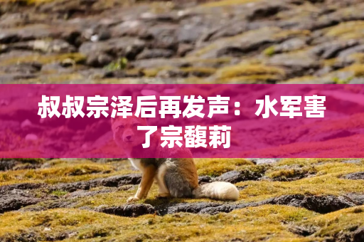 叔叔宗泽后再发声：水军害了宗馥莉