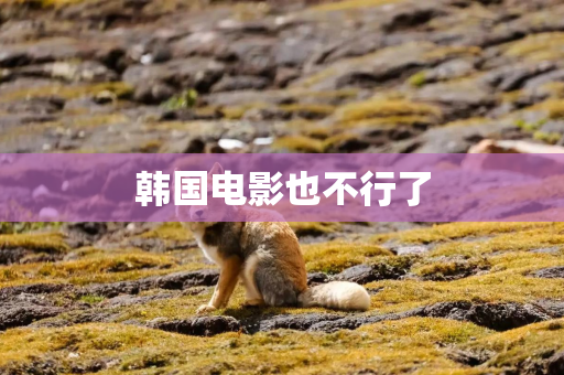 韩国电影也不行了
