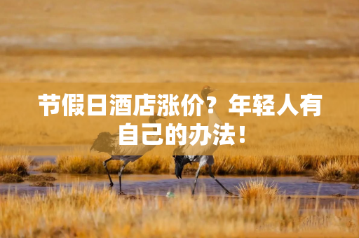 节假日酒店涨价？年轻人有自己的办法！