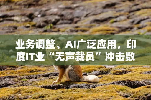 业务调整、AI广泛应用，印度IT业“无声裁员”冲击数万岗位
