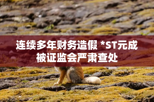 连续多年财务造假 *ST元成被证监会严肃查处