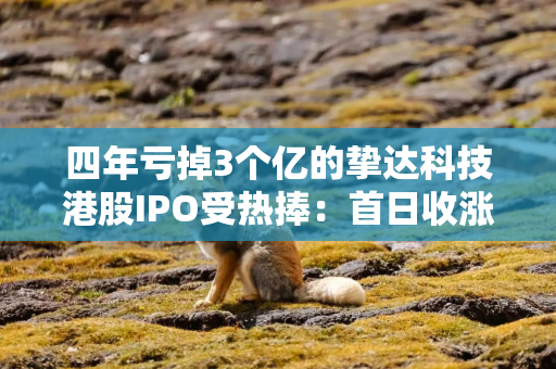 四年亏掉3个亿的挚达科技港股IPO受热捧：首日收涨192% 市值破百亿