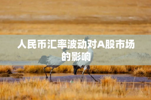 人民币汇率波动对A股市场的影响