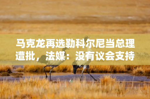 马克龙再选勒科尔尼当总理遭批，法媒：没有议会支持的总统，只会陷入更深孤立