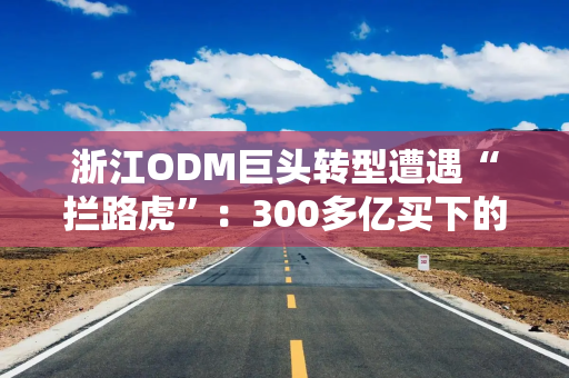 浙江ODM巨头转型遭遇“拦路虎”：300多亿买下的安世，遭荷兰冻结