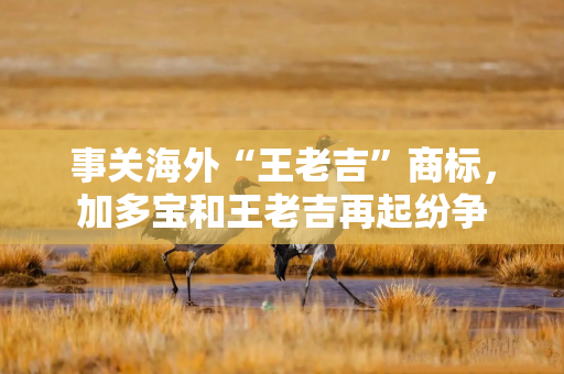 事关海外“王老吉”商标，加多宝和王老吉再起纷争
