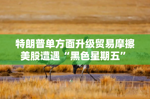 特朗普单方面升级贸易摩擦 美股遭遇“黑色星期五” 科技巨头市值合计蒸发7700亿美元