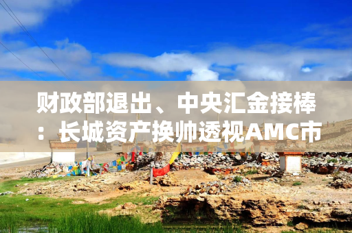 财政部退出、中央汇金接棒：长城资产换帅透视AMC市场化改革深水区