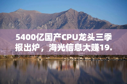 5400亿国产CPU龙头三季报出炉，海光信息大赚19.6亿！近一年股价已近翻倍