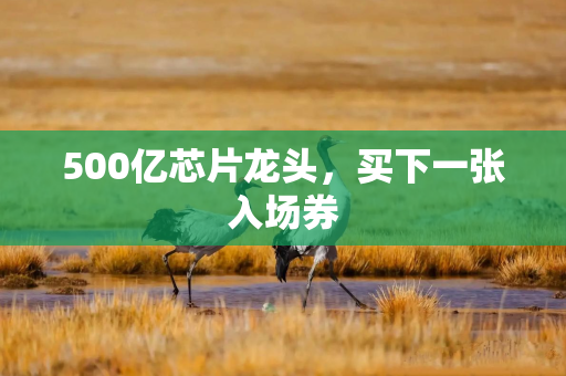 500亿芯片龙头，买下一张入场券
