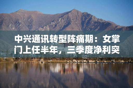 中兴通讯转型阵痛期：女掌门上任半年，三季度净利突然大降88%